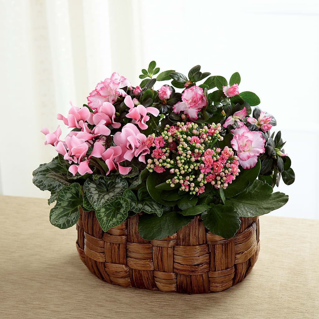 Pink Assortment – TALLEY'S FLOWER SHOP, King NC