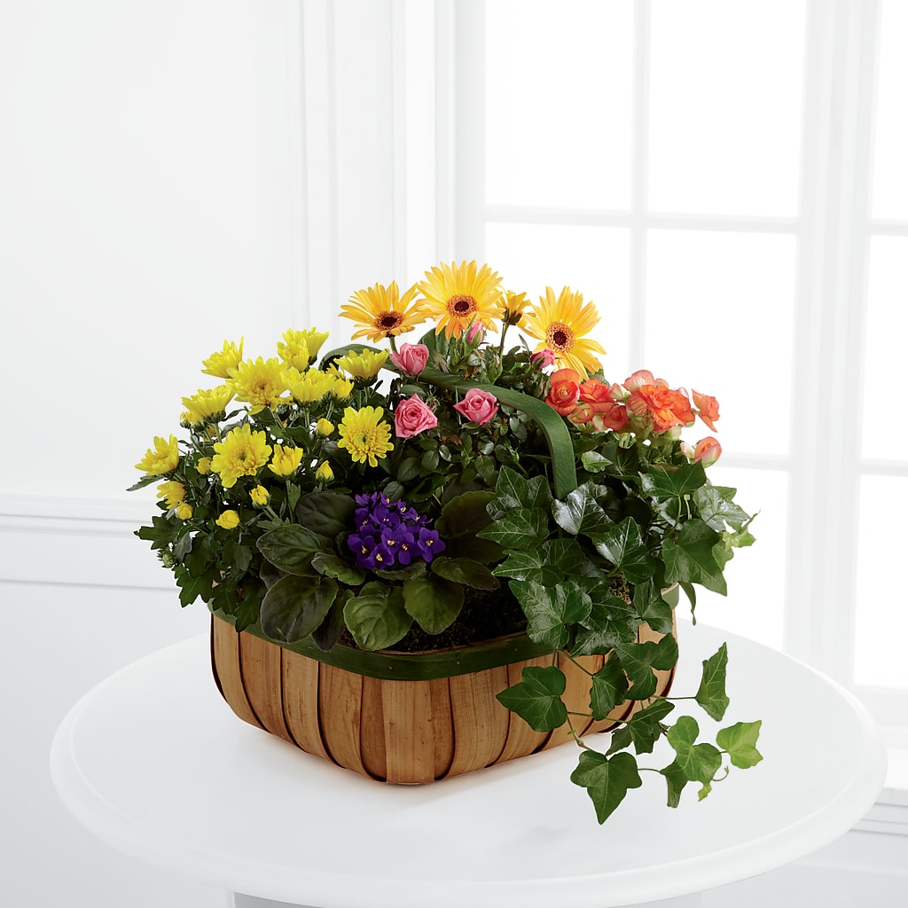 Gentle Blossoms Basket – TALLEY'S FLOWER SHOP, King NC