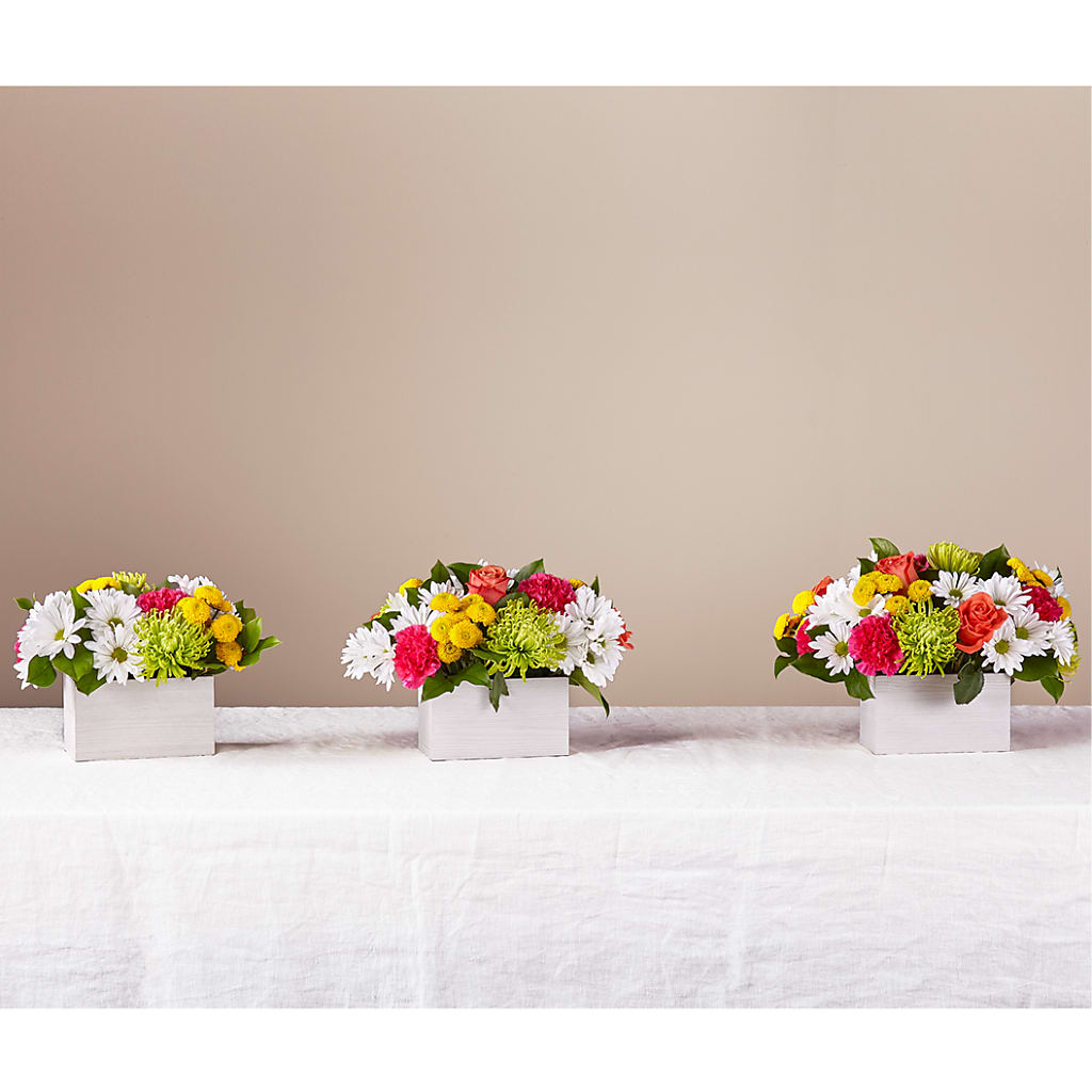 Sorbet Bouquet – TALLEY'S FLOWER SHOP, King NC