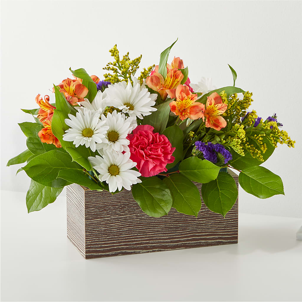 Oopsie Daisy Box Bouquet – TALLEY'S FLOWER SHOP, King NC