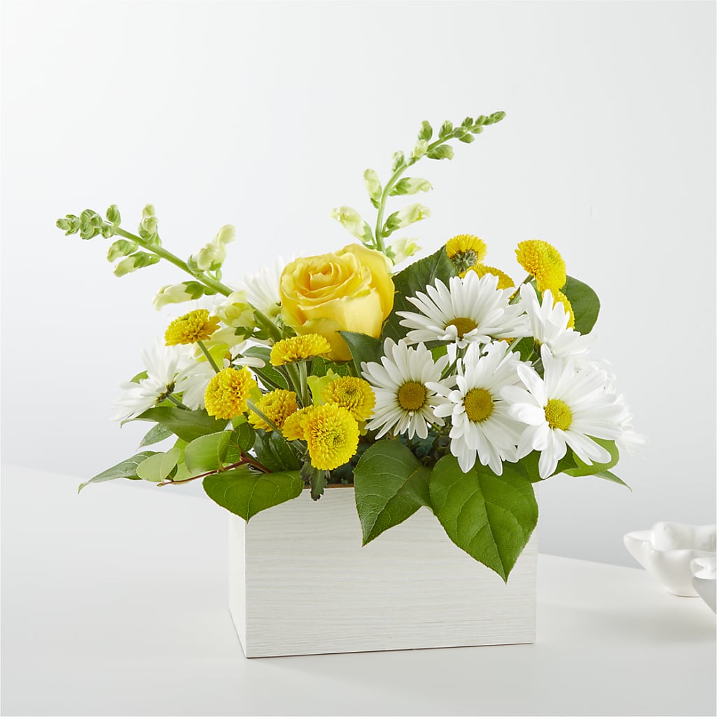 Sun Salutation Box Bouquet – TALLEY'S FLOWER SHOP, King NC