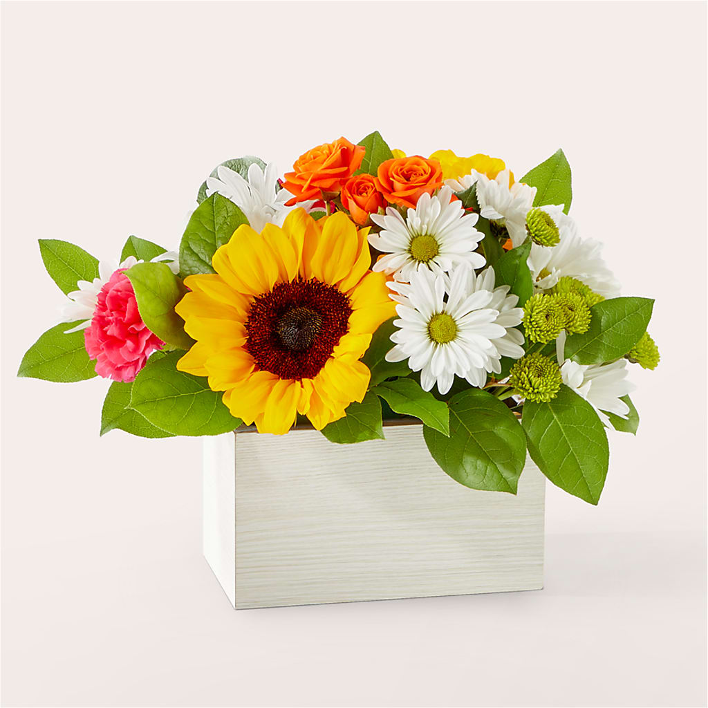 Sun-drenched Blooms Box Bouquet – TALLEY'S FLOWER SHOP, King NC