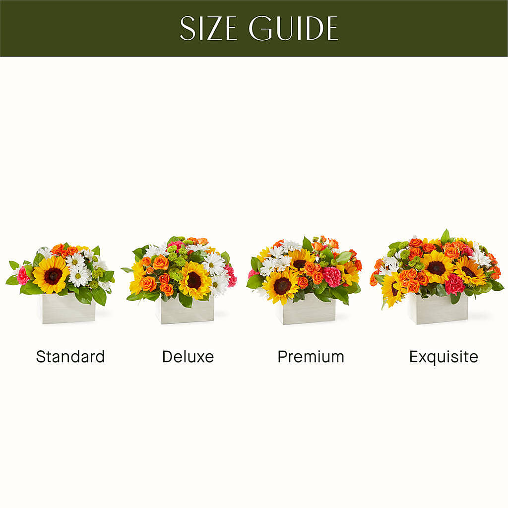 Sun-drenched Blooms Box Bouquet – TALLEY'S FLOWER SHOP, King NC