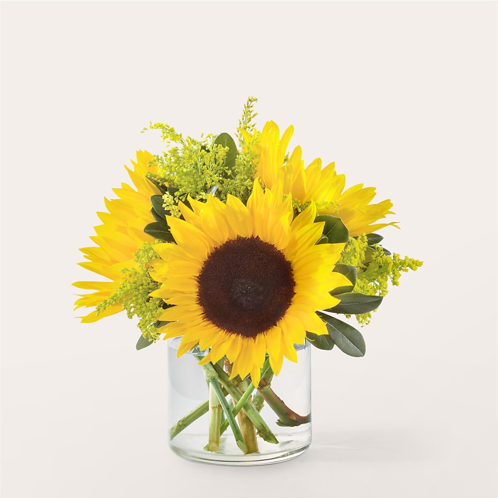 Beaming Sunflower Bouquet – TALLEY'S FLOWER SHOP, King NC