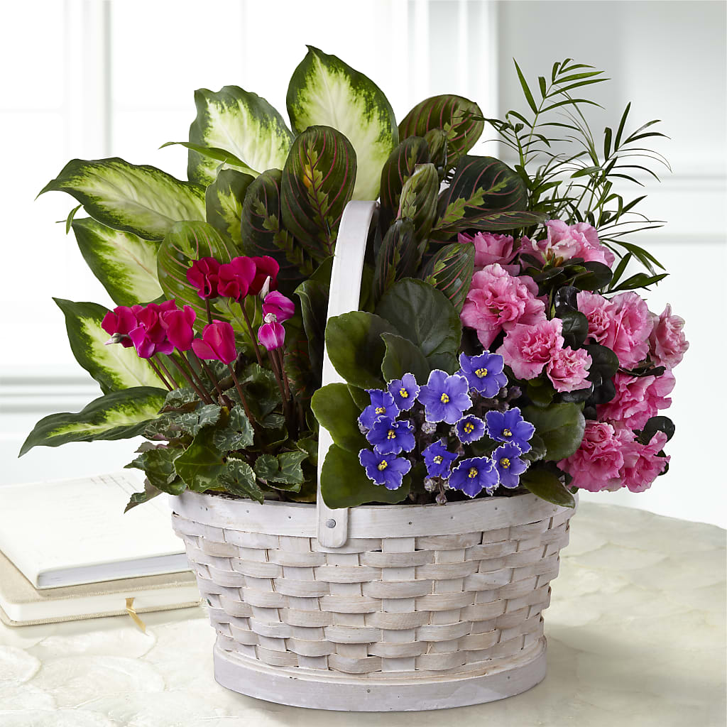 Peaceful Garden Planter – TALLEY'S FLOWER SHOP, King NC