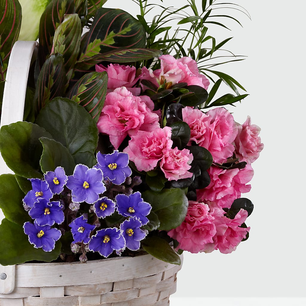 Peaceful Garden Planter – TALLEY'S FLOWER SHOP, King NC