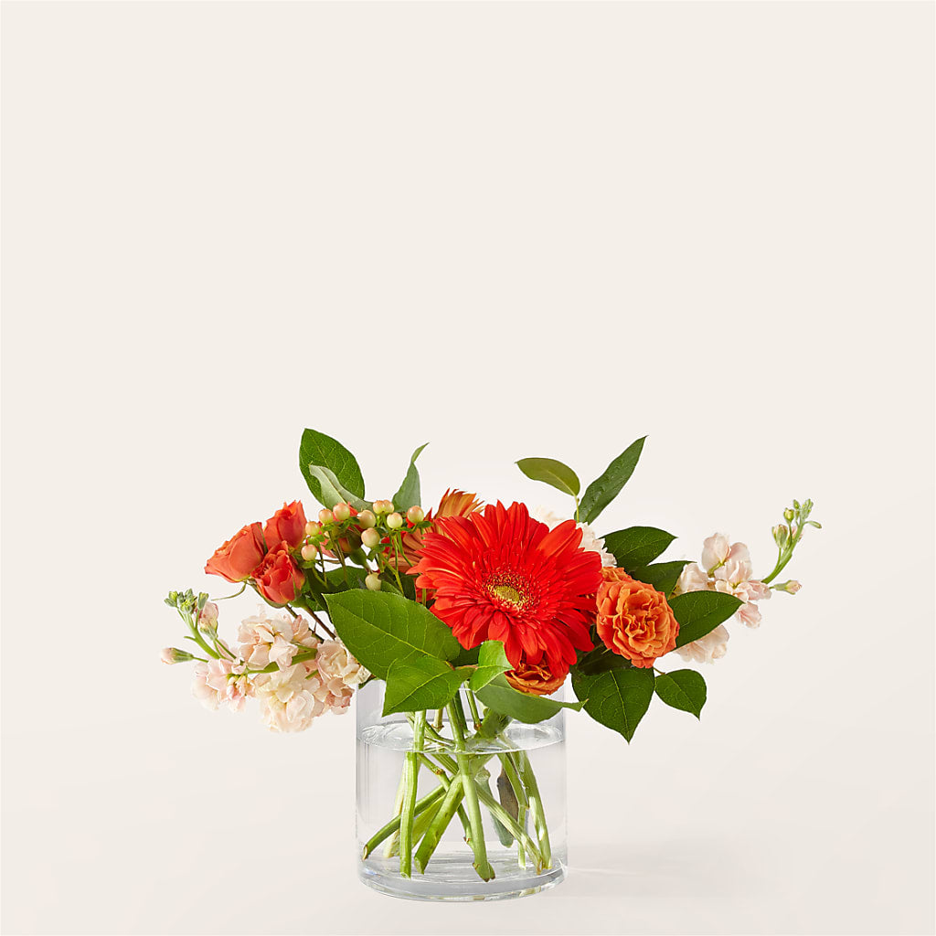 Paloma Please Bouquet – TALLEY'S FLOWER SHOP, King NC