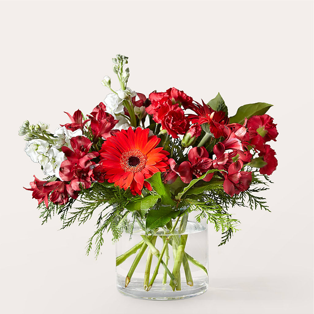 Holidaisy Bouquet – TALLEY'S FLOWER SHOP, King NC
