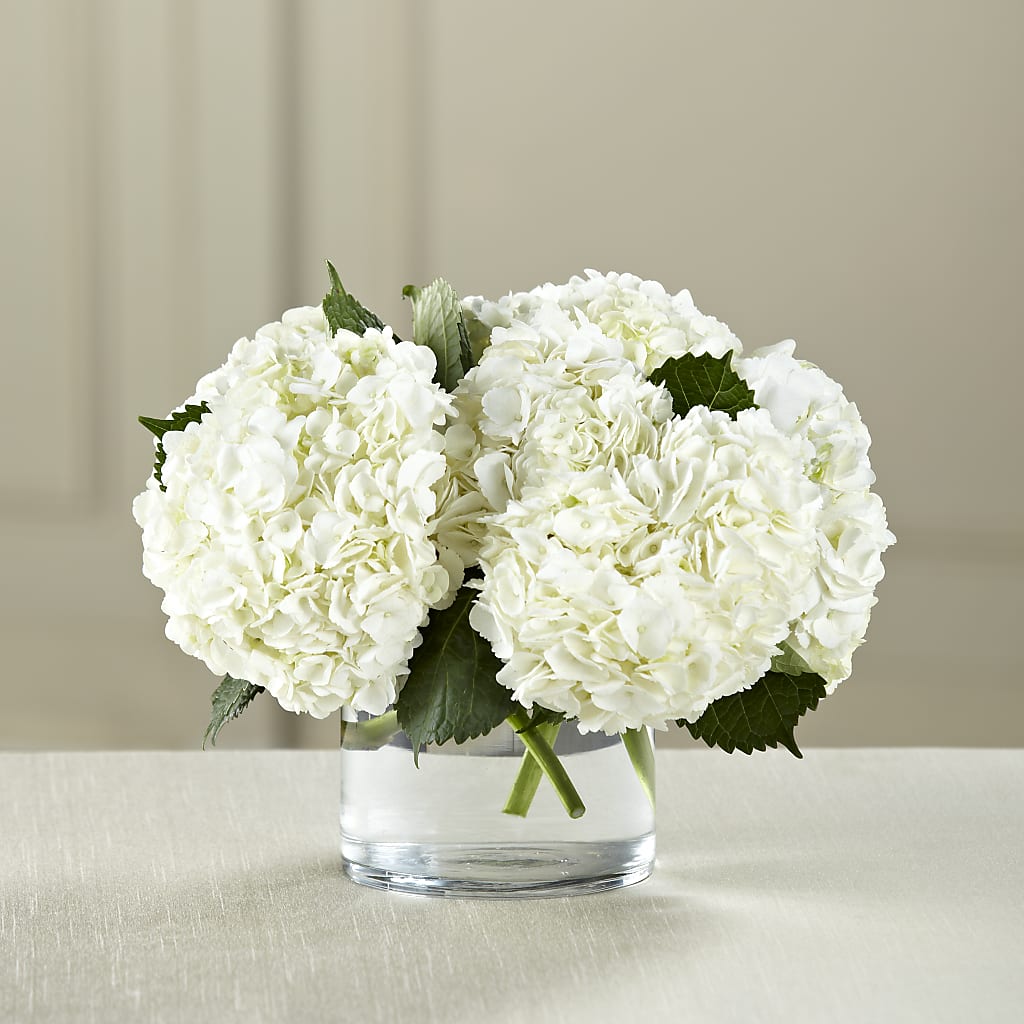 White Hydrangea Bouquet – TALLEY'S FLOWER SHOP, King NC