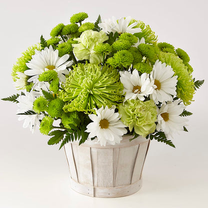 Lucky Charm Basket (Standard) – TALLEY'S FLOWER SHOP, King NC
