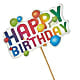 Happy Birthday Pick – TALLEY'S FLOWER SHOP, King NC