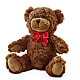 Adorable Plush Bear – TALLEY'S FLOWER SHOP, King NC