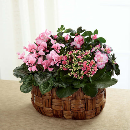 Pink Assortment – TALLEY'S FLOWER SHOP, King NC