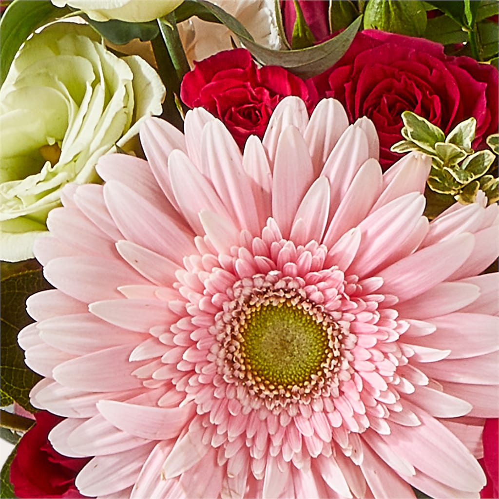Too Cute Bouquet – TALLEY'S FLOWER SHOP, King NC