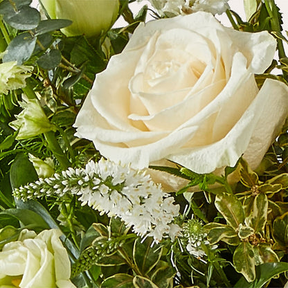 Cashmere Bouquet – TALLEY'S FLOWER SHOP, King NC