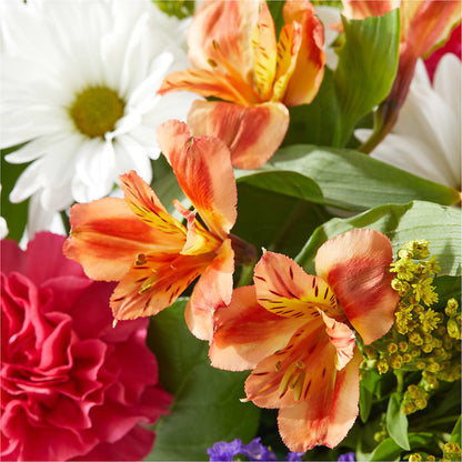 Oopsie Daisy Box Bouquet – TALLEY'S FLOWER SHOP, King NC