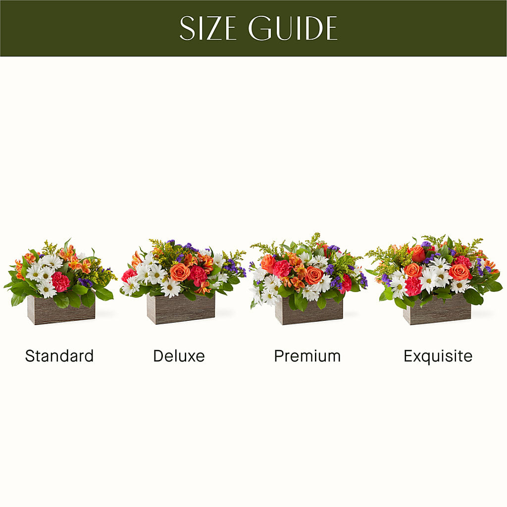 Oopsie Daisy Box Bouquet – TALLEY'S FLOWER SHOP, King NC