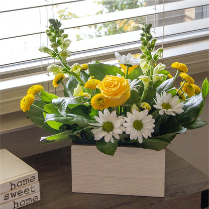 Sun Salutation Box Bouquet – TALLEY'S FLOWER SHOP, King NC