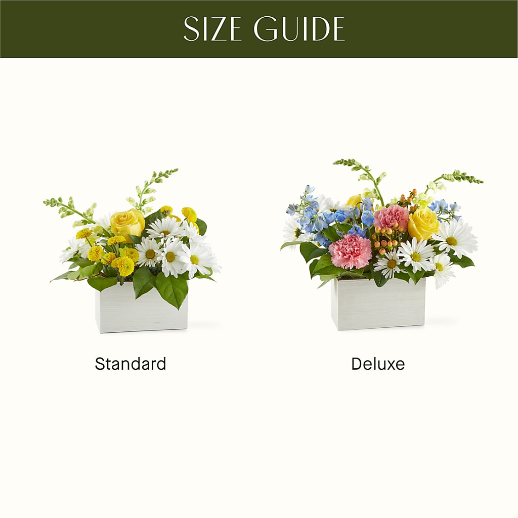 Sun Salutation Box Bouquet – TALLEY'S FLOWER SHOP, King NC