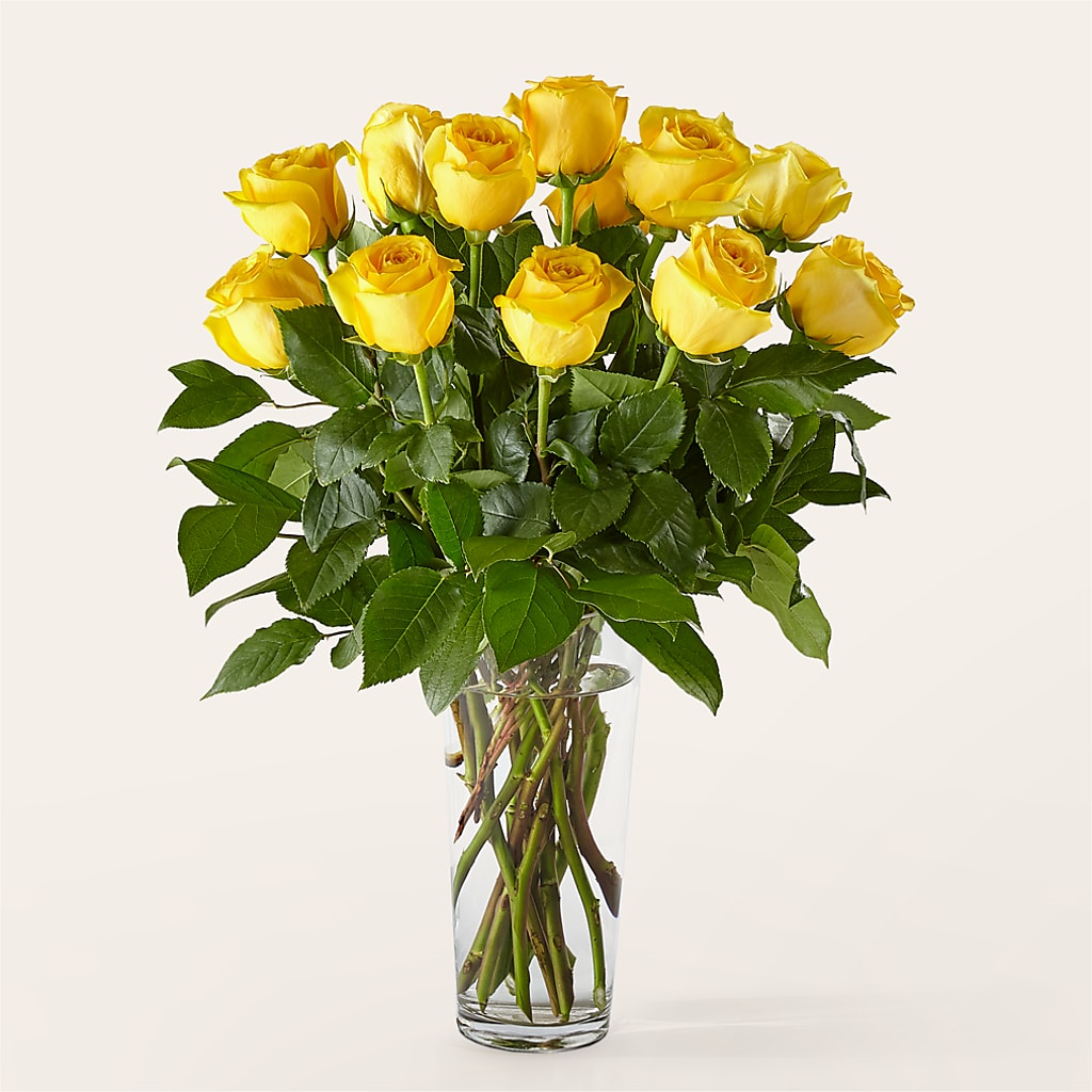 Long Stem Yellow Rose Bouquet – TALLEY'S FLOWER SHOP, King NC