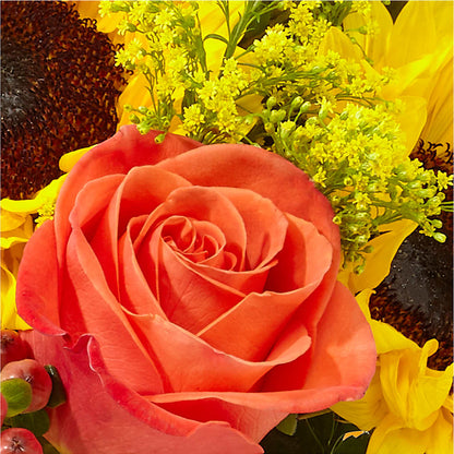 Pick of the Patch Pumpkin Bouquet – TALLEY'S FLOWER SHOP, King NC