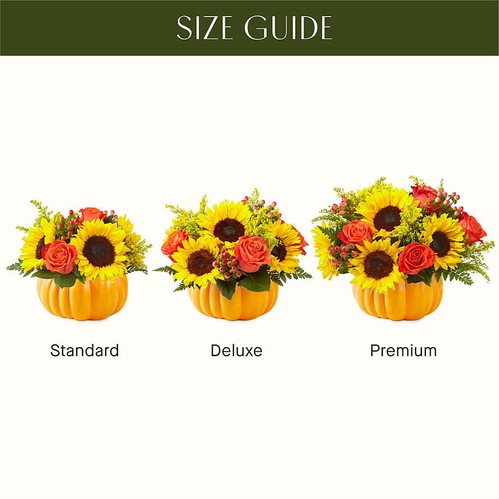 Pick of the Patch Pumpkin Bouquet – TALLEY'S FLOWER SHOP, King NC