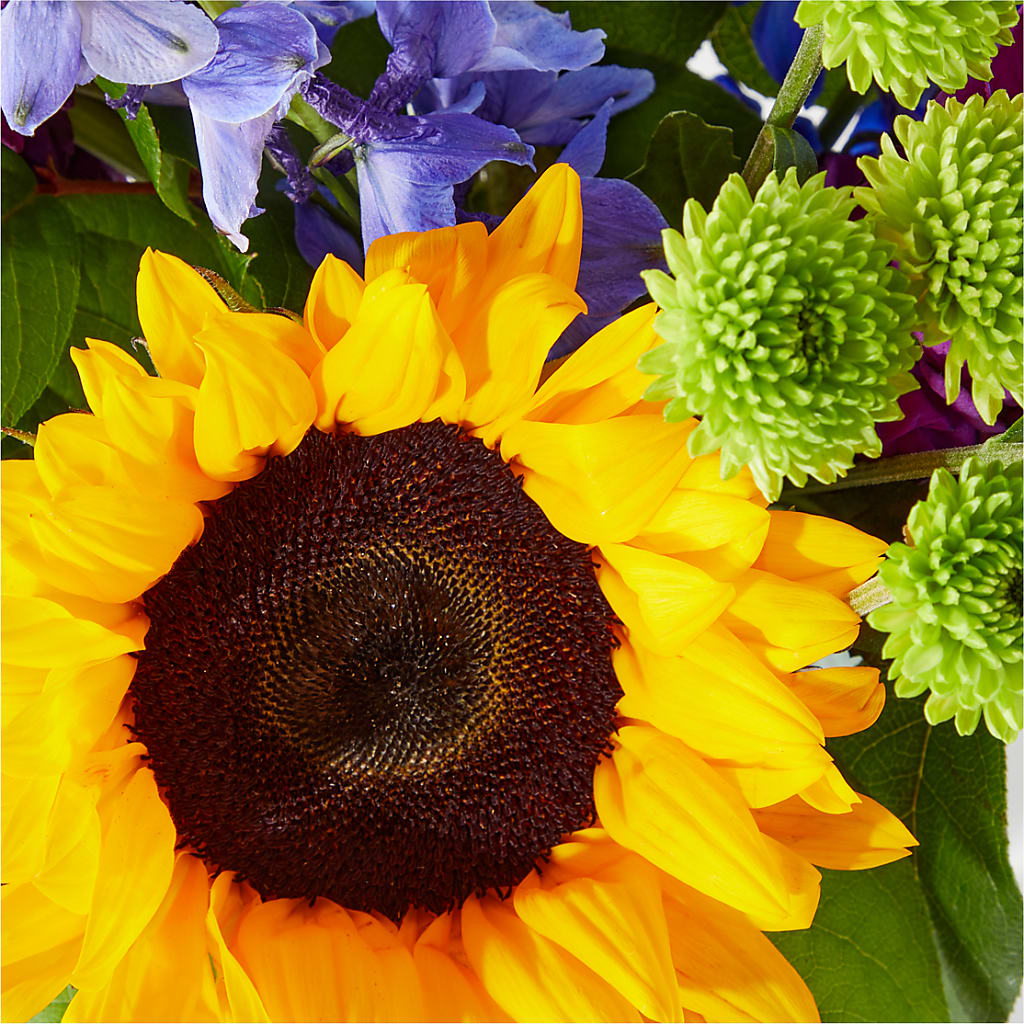 Catching Rays Bouquet – TALLEY'S FLOWER SHOP, King NC