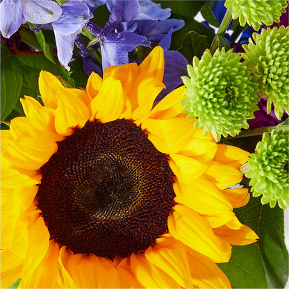 Catching Rays Bouquet – TALLEY'S FLOWER SHOP, King NC