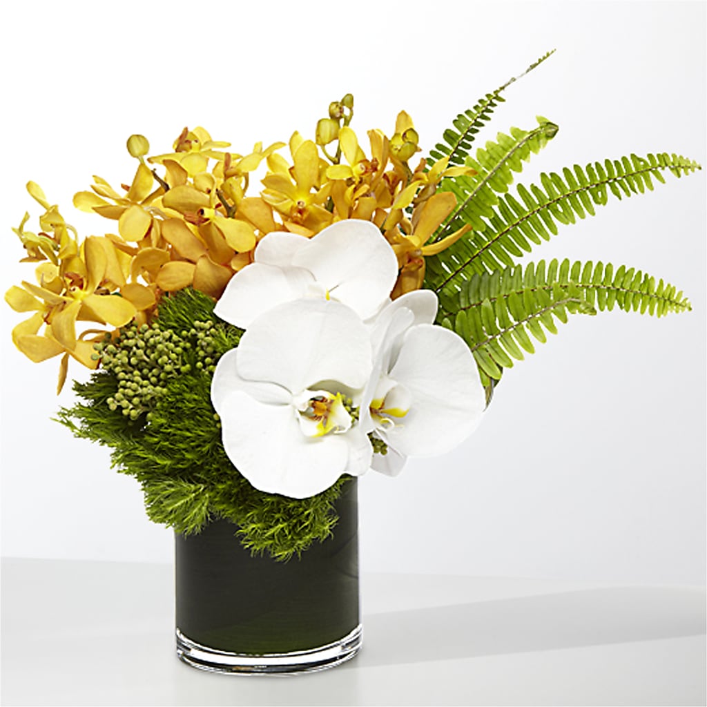 The Tropics – TALLEY'S FLOWER SHOP, King NC