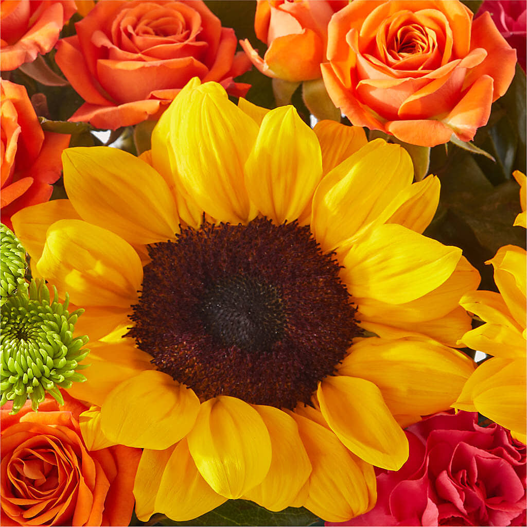 Sun-drenched Blooms Box Bouquet – TALLEY'S FLOWER SHOP, King NC