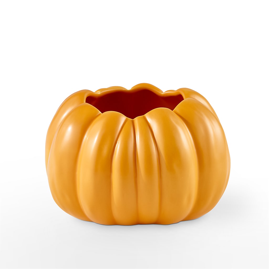 Pick of the Patch Pumpkin Bouquet – TALLEY'S FLOWER SHOP, King NC
