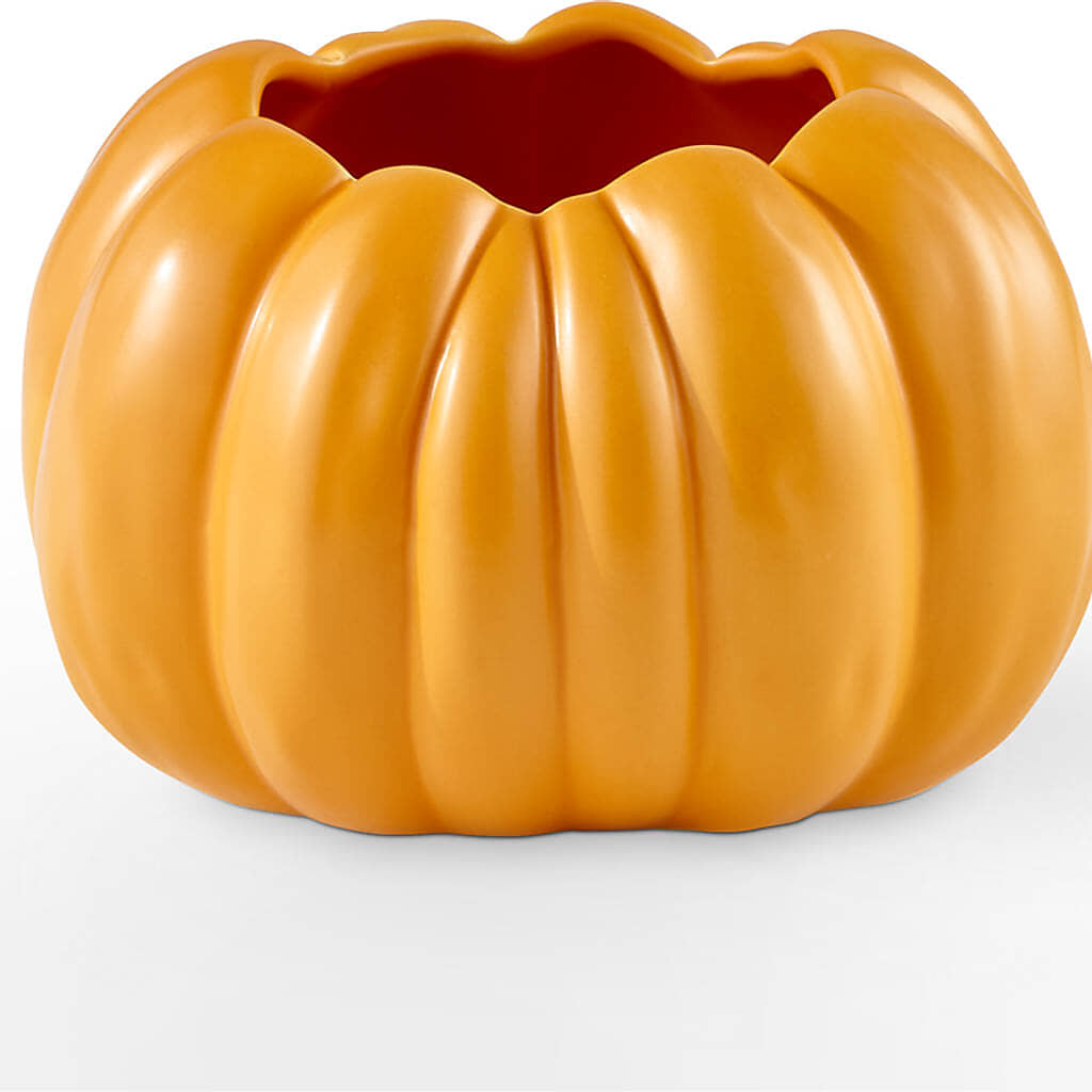 Golden Gourd Pumpkin Bouquet – TALLEY'S FLOWER SHOP, King NC