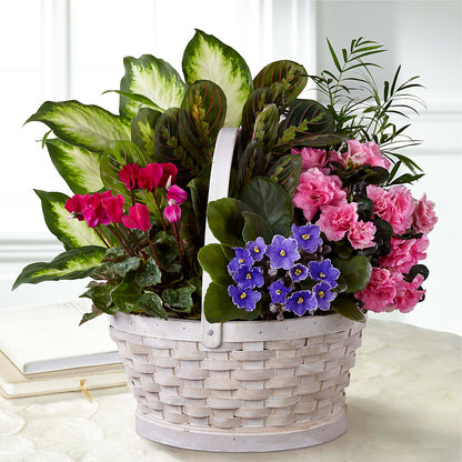 Peaceful Garden Planter – TALLEY'S FLOWER SHOP, King NC