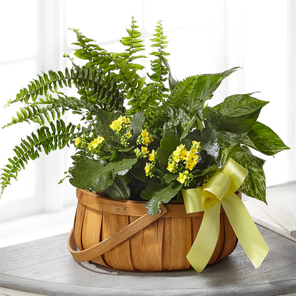 Always Dear Dishgarden – TALLEY'S FLOWER SHOP, King NC