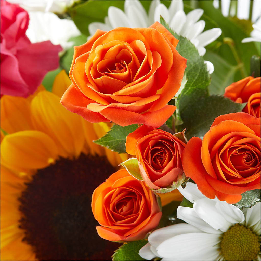 Sun-drenched Blooms Bouquet – TALLEY'S FLOWER SHOP, King NC