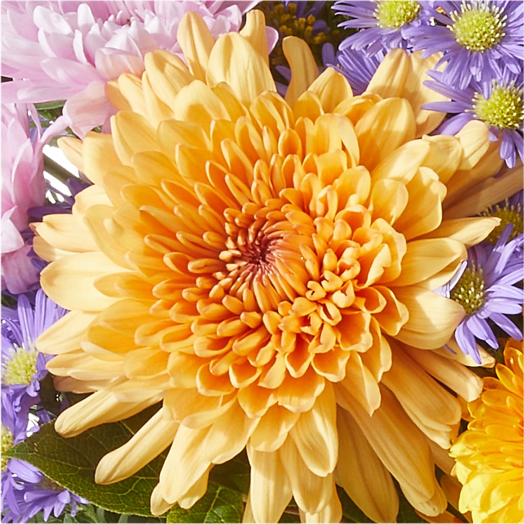Countryside Bouquet – TALLEY'S FLOWER SHOP, King NC