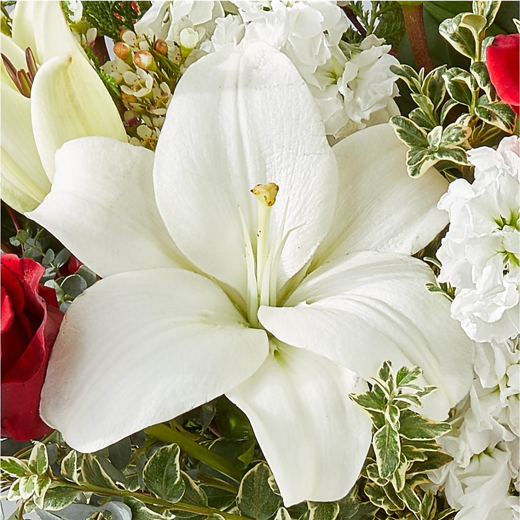 Twinkle Lights Bouquet – TALLEY'S FLOWER SHOP, King NC