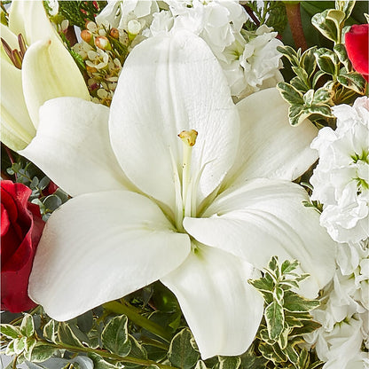 Twinkle Lights Bouquet – TALLEY'S FLOWER SHOP, King NC
