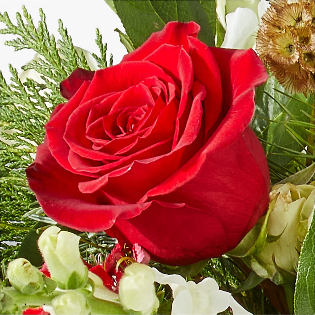 Deck the Halls Bouquet – TALLEY'S FLOWER SHOP, King NC