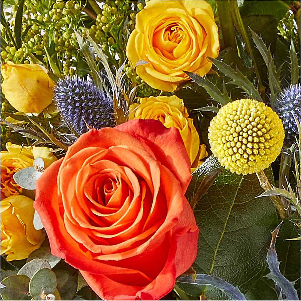 Disco Bouquet – TALLEY'S FLOWER SHOP, King NC