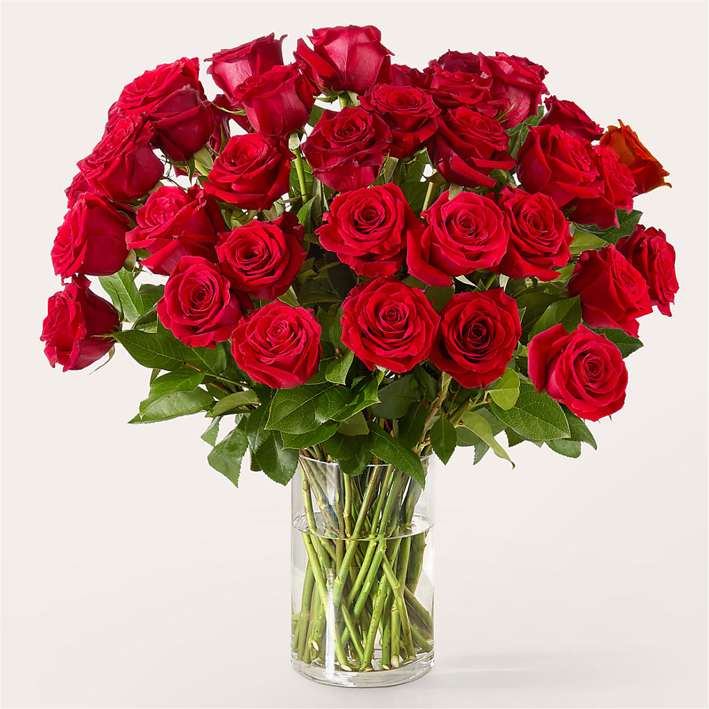 The One Red Rose Bouquet – TALLEY'S FLOWER SHOP, King NC