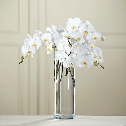 White Phalaenopsis Bouquet – TALLEY'S FLOWER SHOP, King NC