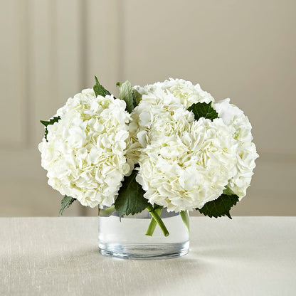 White Hydrangea Bouquet – TALLEY'S FLOWER SHOP, King NC