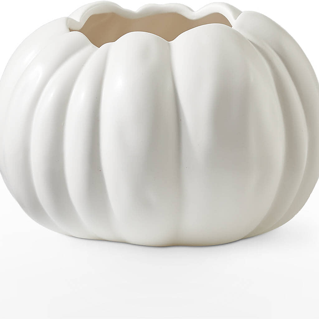 Autumn Air Pumpkin Bouquet – TALLEY'S FLOWER SHOP, King NC